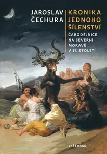 Kronika jednoho šílenství (poškozené) - Jaroslav Čechura