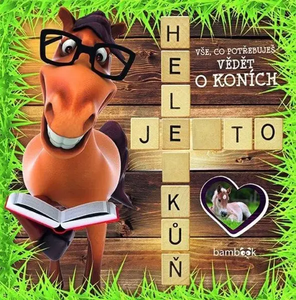 Hele, je to kůň (poškozené)