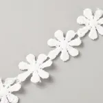 Polyester Lace Ribbon