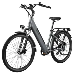 Magicycle CT-1 Torque Sensor Electric Bike Grey
