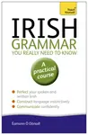 Irish Grammar You Really Need to Know: Teach Yourself - Eamonn O'Donaill