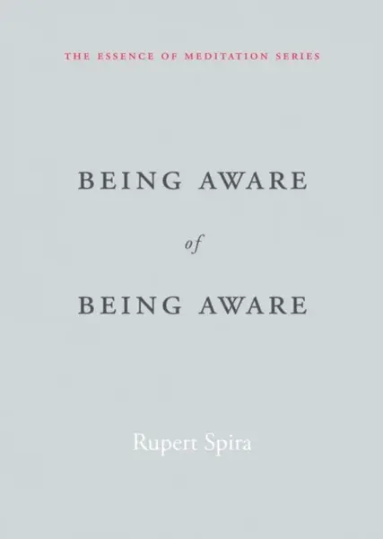 Being Aware of Being Aware - Rupert Spira