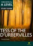 Tess of the D'Urbervilles: York Notes A-level English Literature Study Guide - for 2026, 2027 exams - Beth Palmer, Karen Sayer