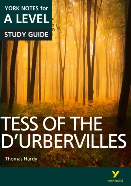 Tess of the D'Urbervilles: York Notes A-level English Literature Study Guide - for 2026, 2027 exams - Beth Palmer, Karen Sayer