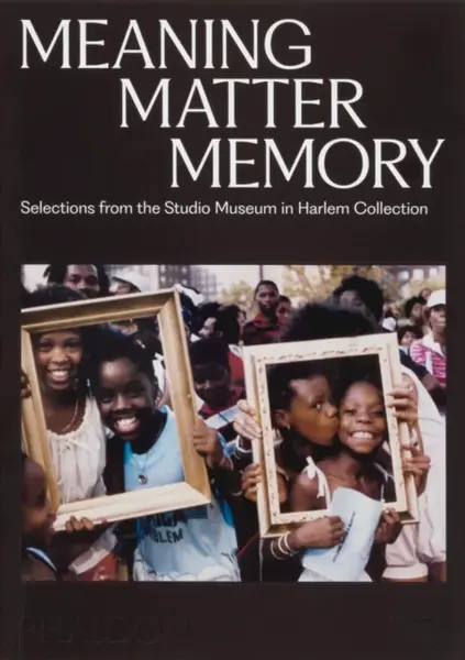 Meaning Matter Memory - Connie H. Choi, Thelma Golden, Mary Schmidt Campbell, Lowery Stokes Sims, Kinshasha Holman-Conwill