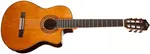 Tanglewood EM DC 5