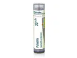 Pulsatilla 30CH granule 4g
