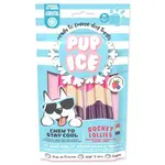 Pochoutka Pup Ice chlazená se jahodou a borůvkou 2ks 90g
