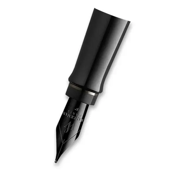 Náhradní hrot Waterman Expert Metallic Silver RT hrot M