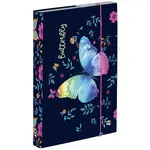 Box na sešity A5 Jumbo Motýl 2