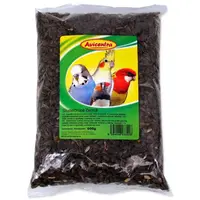 Slunečnice Avicentra černá 500g