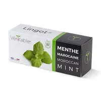 Semenná vložka Veritable Moroccan Mint