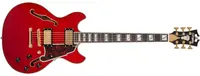 D'Angelico Excel Mini DC Trans Cherry
