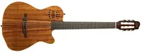 Godin ACS-SA Nylon KOA EXTREME HG