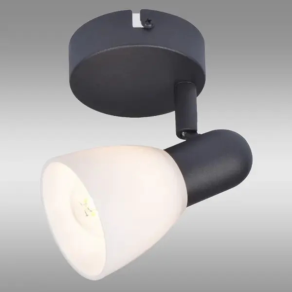 Luster SOMA 73091 Black K1