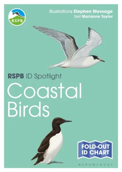 RSPB ID Spotlight - Coastal Birds - Taylor Marianne