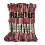 10 Skeins 6-Ply Polyester Embroidery Floss