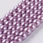 Eco-Friendly Dyed Glass Pearl Round Beads Strands