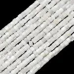 Natural Freshwater Shell Beads Strands