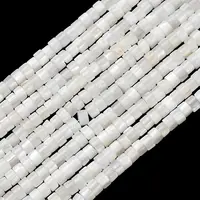 Natural Freshwater Shell Beads Strands