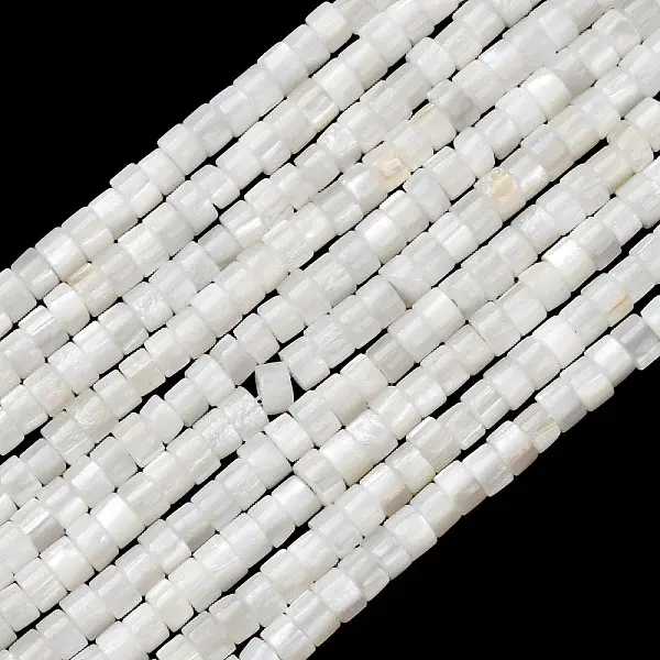 Natural Freshwater Shell Beads Strands