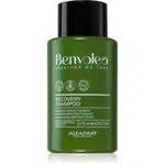 Alfaparf Milano Benvoleo Recovery restrukturalizační šampon pro poškozené vlasy 275 ml