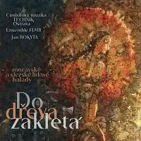 Cimbálová muzika Technik, Ensemble Flair, Jan Rokyta – Do dřeva zakletá CD