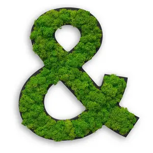 StyleGREEN MECHOVÝ OBRAZ