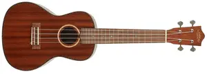 Lanikai MAS-C