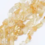 Natural Citrine Beads Strands