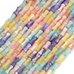 Natural Freshwater Shell Beads Strands