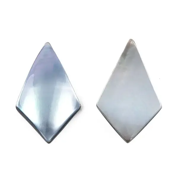 Natural Turbo Cornulus/Top Shells Cabochons