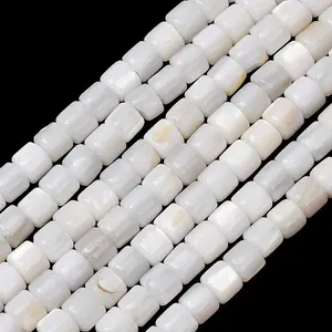 Natural Freshwater Shell Beads Strands