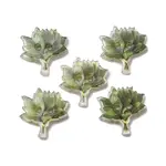 2-Hole Resin Buttons