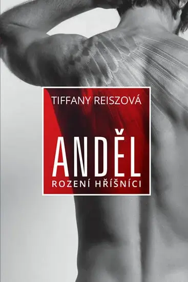 Anděl (poškozená) - Tiffany Reiszová