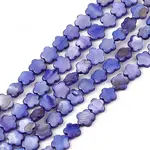 Natural Freshwater Shell Dyed Beads Strands