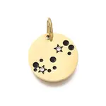 Twelve Constellations 304 Stainless Steel Enamel Pendants