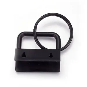Electrophoresis Iron Split Key Rings