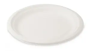 Talíř kulatý BIO 22 cm (Cukrová třtina) - 10ks