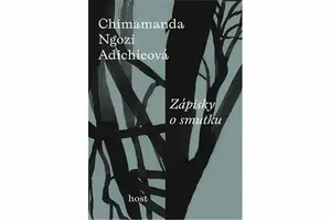Zápisky o smutku - Chimamanda Ngozi Adichieová
