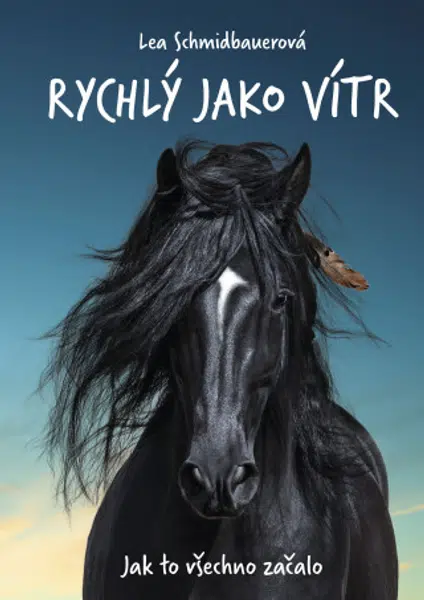 Rychlý jako vítr: Jak to všechno začalo - Lea Schmidbauerová - e-kniha