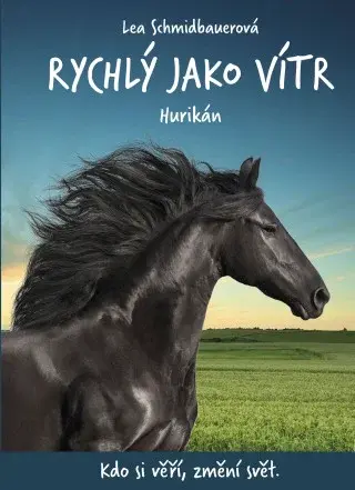 Rychlý jako vítr: Hurikán - Lea Schmidbauerová - e-kniha