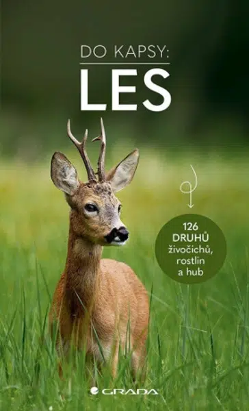 Les – Do kapsy - Ute Wilhelmsenová