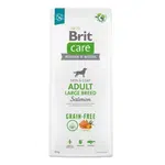 Brit Care Dog Grain-free Adult Large Breed Salmon 12 kg | Granule pre psov