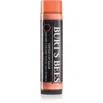 Burt’s Bees Tinted Lip Balm balzam na pery odtieň Zinnia 4.25 g