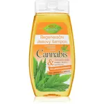 Bione Cosmetics Cannabis regeneračný šampón 260 ml