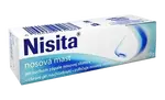 NISITA Nosová masť 10 g