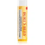 Burt’s Bees Lip Care hydratačný balzam na pery (with Coconut & Pear) 4.25 g