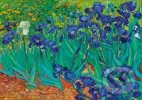 Vincent Van Gogh - Irises, 1889 - puzzle z kategorie Umělecké
