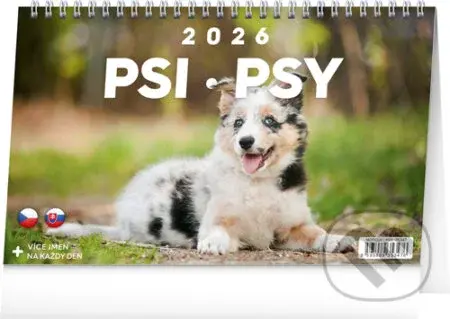 NOTIQUE Stolní kalendář / stolový kalendár Psi – Psy 2026